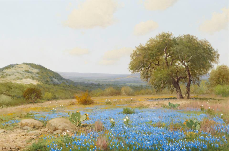 Texas Bluebonnet Landscape