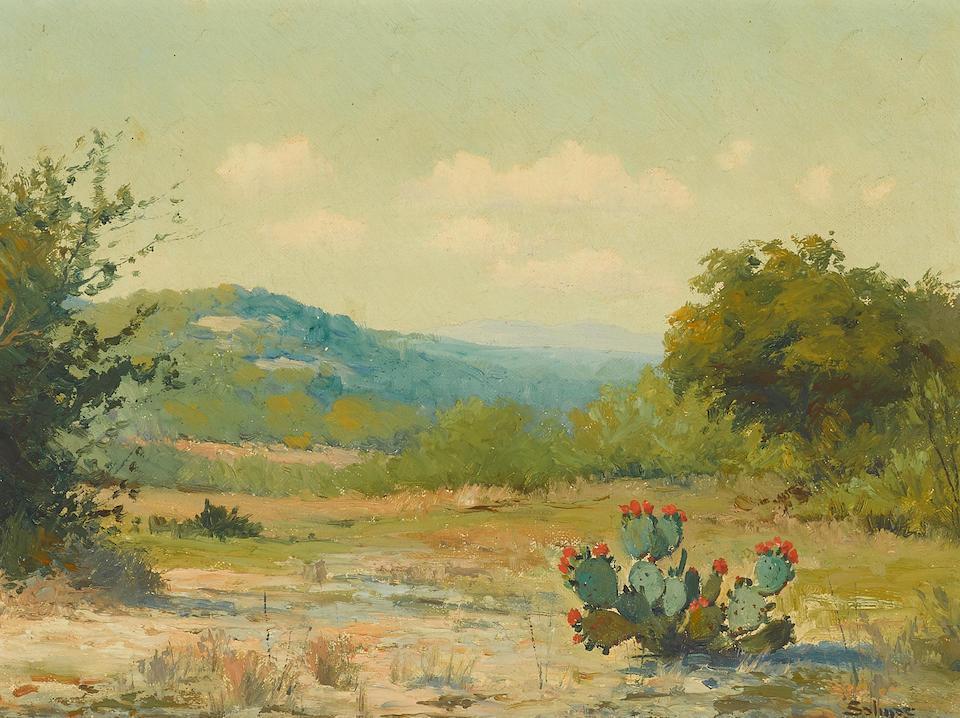 Cacti in Texas Hill Country