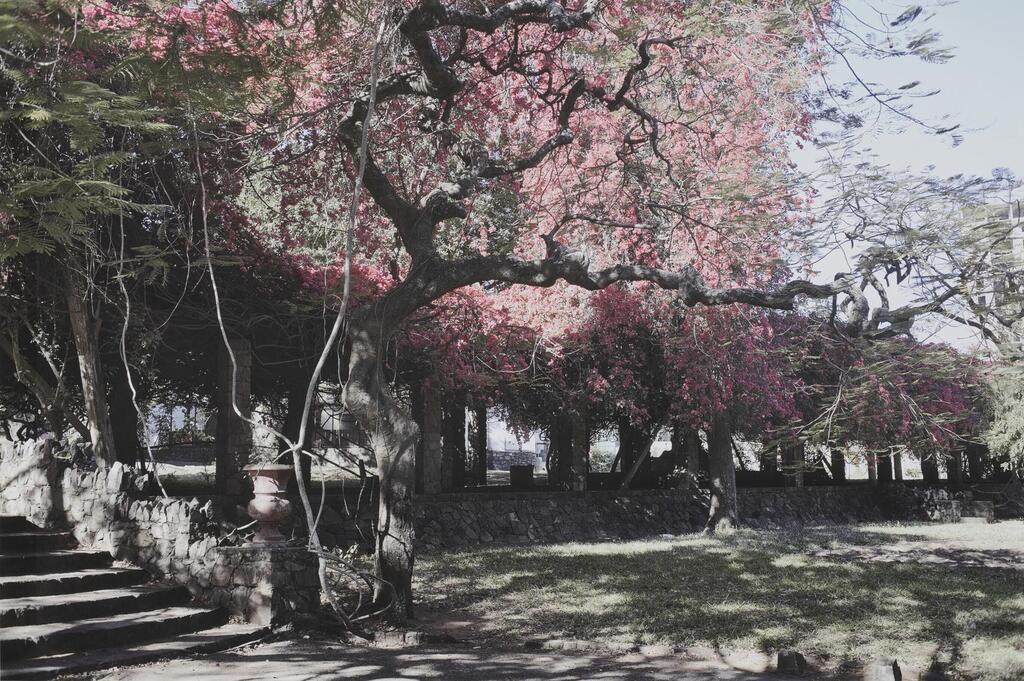 Botanical Gardens, Maputo, Mozambique