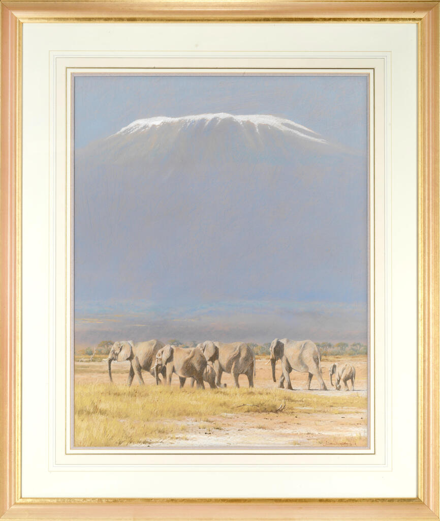 Amboseli dawn, herd of elephants