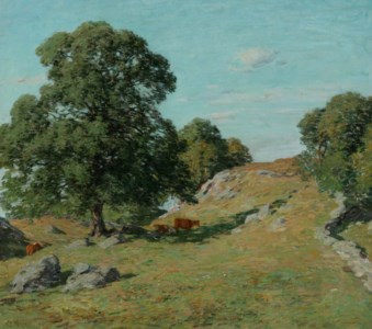 Pasture (Damon's Hill, Old Lyme)