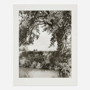 An Irrigation Canal, Larimer County, Colorado