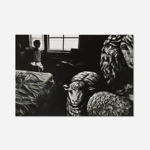 Marilynn and the Sheep, 1964