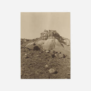 In the Petrified Forest - North Sigillana