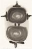 Untitled, Figures (Pair).
