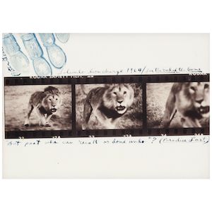 Peter Beard (1938-2020); 'Loliondo Lion Charge' (for 'The End of the Game');