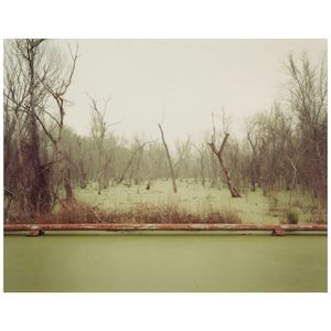 Richard Misrach (born 1949); 'Swamp and Pipeline, Geismar, Louisiana' (from 'Cancer Alley');