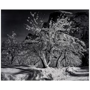 Ansel Adams (1902-1984); Half Dome, Orchard, Winter, Yosemite National Park;