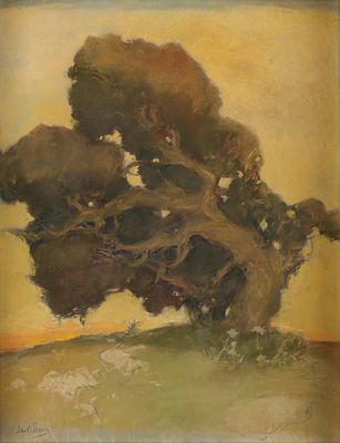 Olive Tree and Landscape