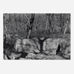 Hidden Shadow