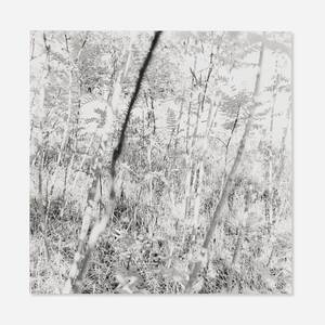 Frederick County, Maryland (from the Earthly Delights series)