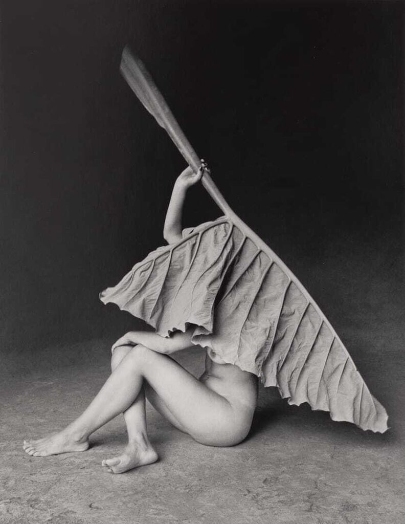 Hoja Elegante, Mexico, 1998