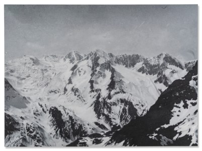 Rudolf Stingel, Untitled