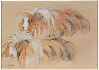 Two Guinea Pigs