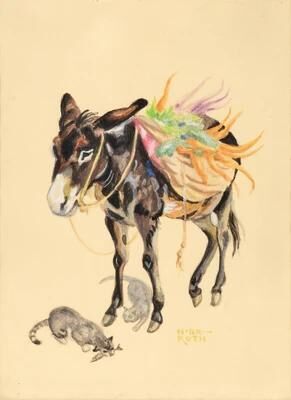 A donkey and a cat