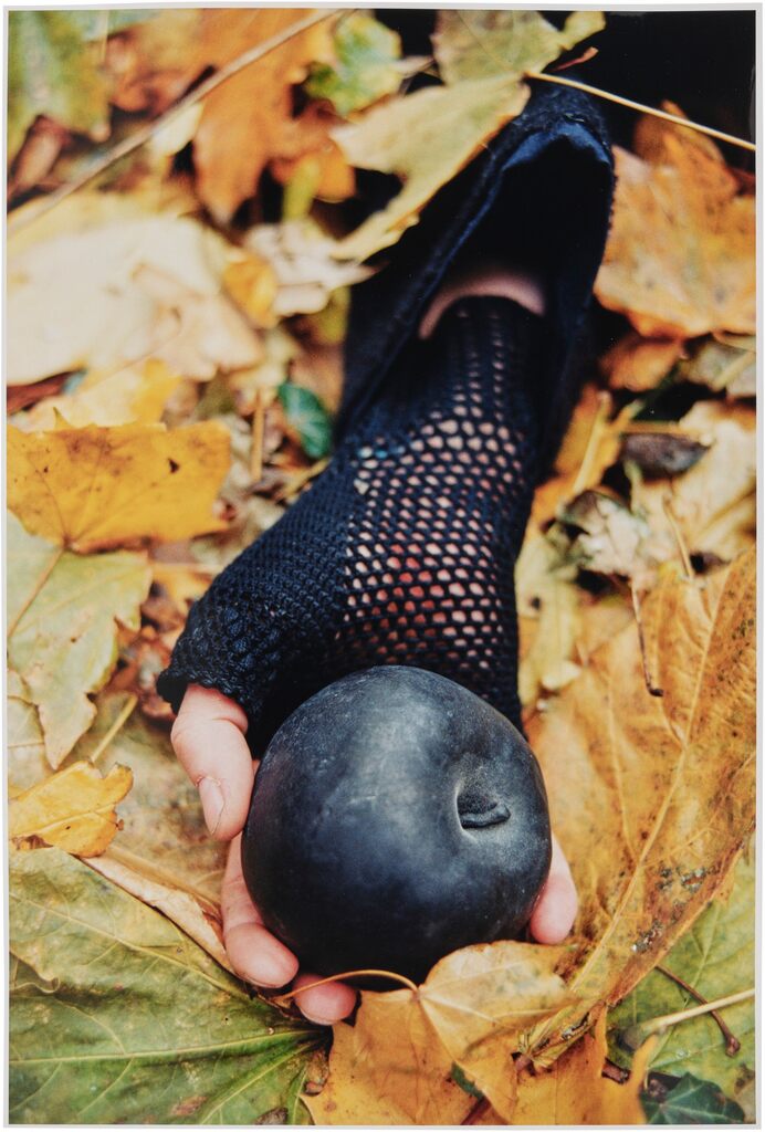 Sleeping Witch: one plate