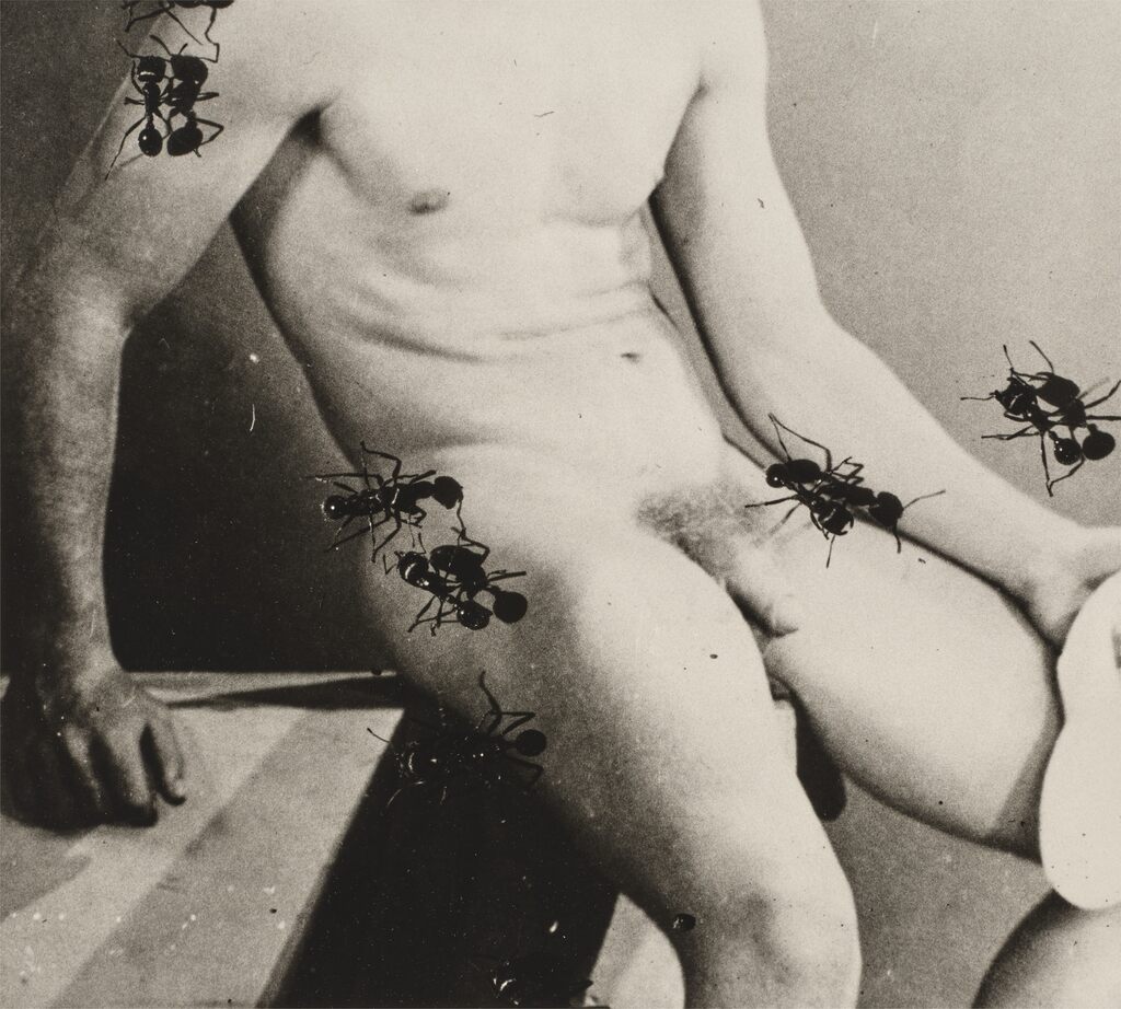 Untitled (Desire)
