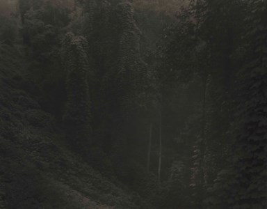 Untitled, from 'Deep South', 1996
