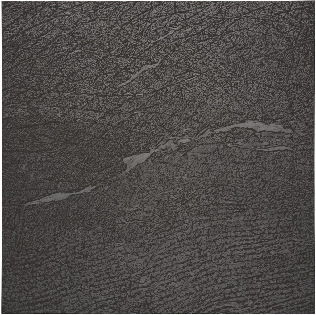 Pelle di grafite - riflesso di quarzo