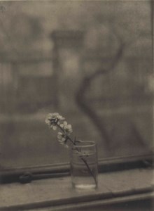 Bouquet, 1950