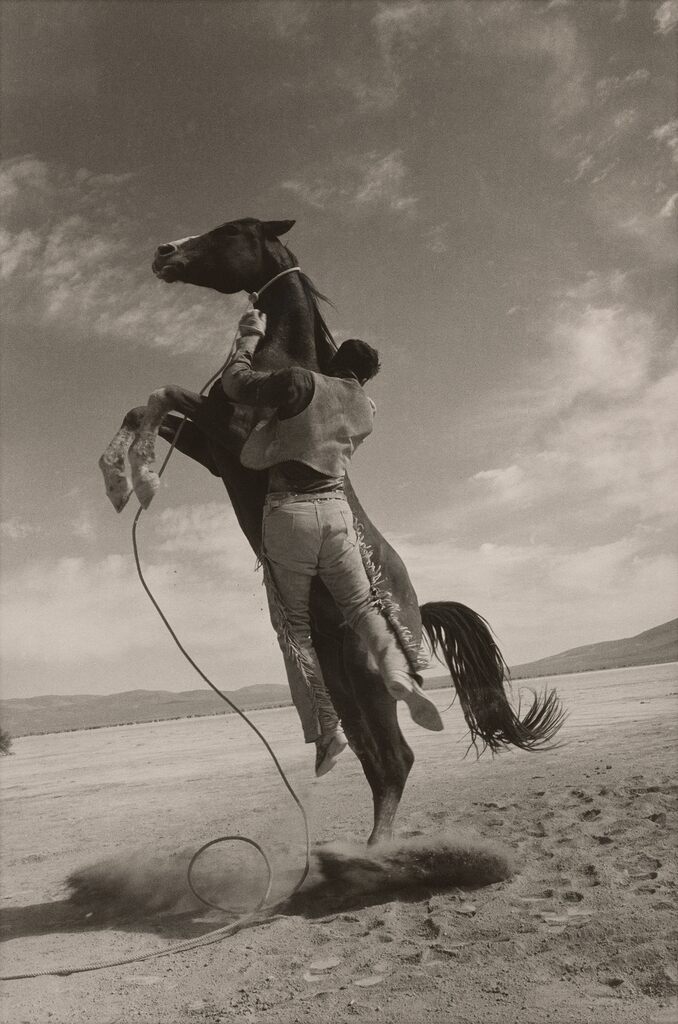 Leaping Horse, 'The Misfits,' Nevada