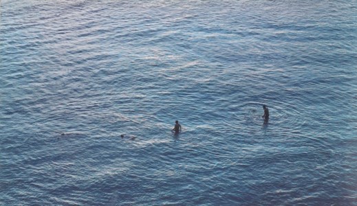 Untitled, from On the Beach, #763-03, 2003