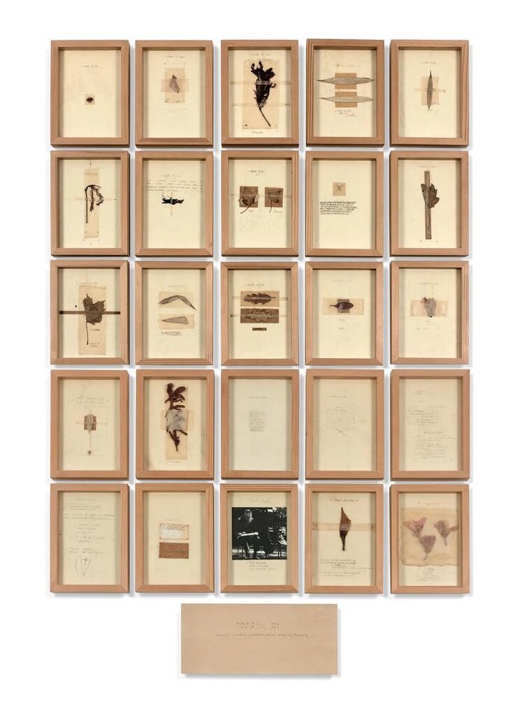 Bordeaux herbarium journal