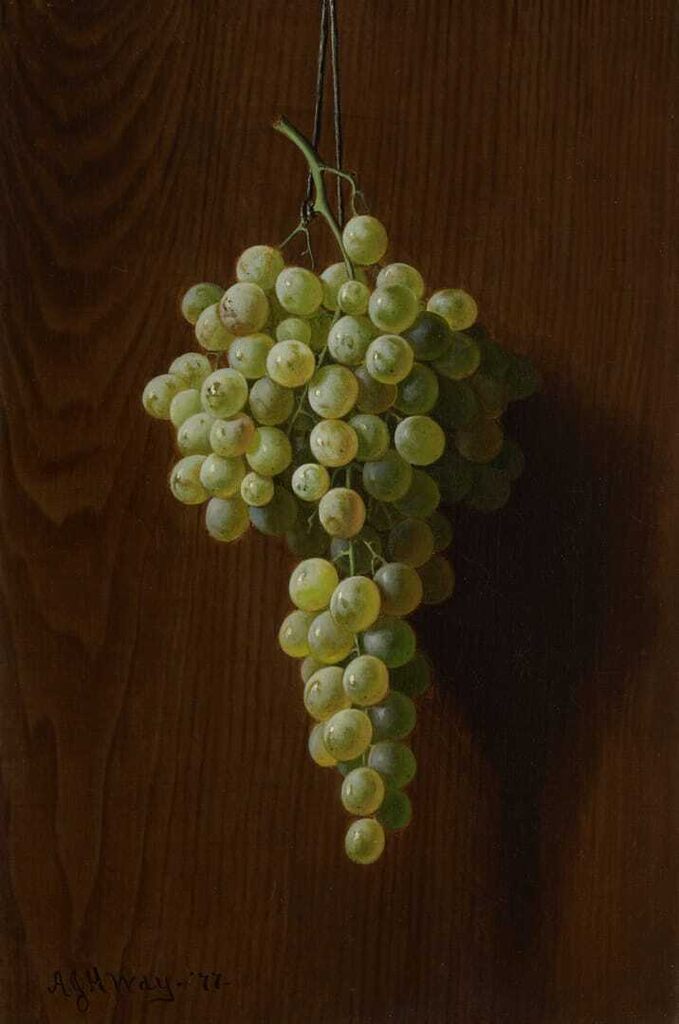 Grapes