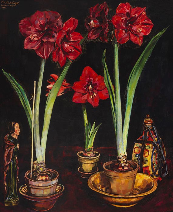 Amaryllis