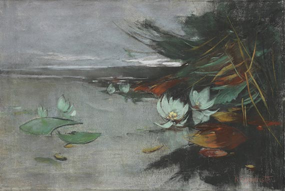 Seerosen am Ufer des Schwielowsees