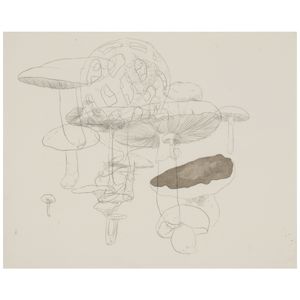 Study for Distillation