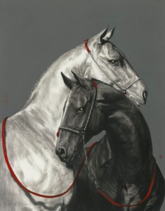 Companion