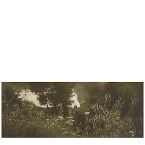 Josef Sudek (1896-1976); Untitled (Landscape);