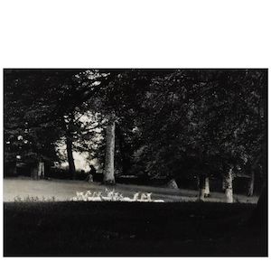 Paul Caponigro (1932-2024); Standing White Deer, Ireland;