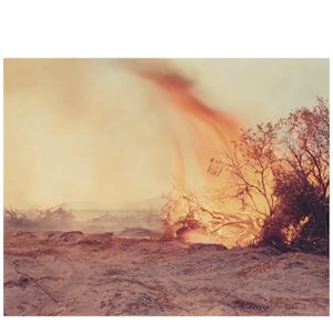 Richard Misrach (born 1949); 'Desert Fire #77';