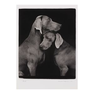 William Wegman (born 1943); Friends;