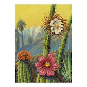 Paul Grimm (1891-1974) Cactus Flower 16 x 12 in.