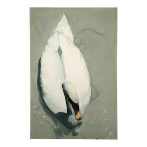 William G. Garbe (1948-1989) Untitled (Swan from Above) sight 59 1/2 x 39 1/2 in.