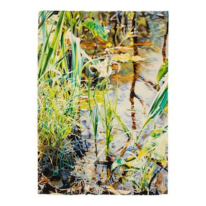 John Bayalis (born 1958) Wild Iris sight 41 1/2 x 29 1/2 in.