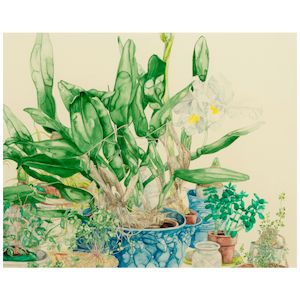 Karen Anne Klein (born 1943) Orchids sight 22 1/4 x 27 3/4 in. (Executed in 1980.)