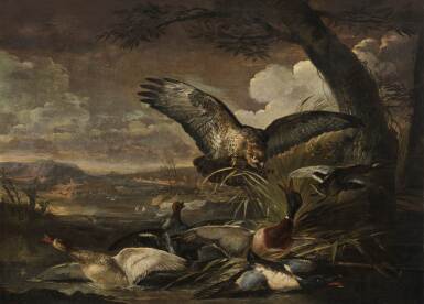 Ducks hunted by an eagle 