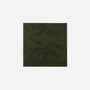 Untitled (#9)