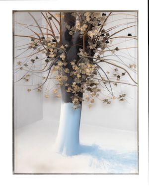 Costas Tsoclis, Arbre