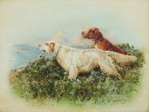 William Woodhouse (British, 1857-1939) An English and an Irish Red and White Setter on the moors