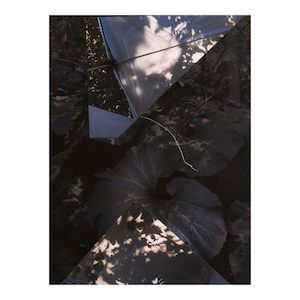 Sandi Haber Fifield (born 1956); GD19_314, from the series The Certainty of Nothing;