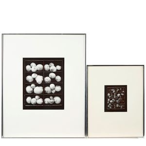 Olivia Parker (born 1941); Two Photographs including: Mixed Nuts; (2)
