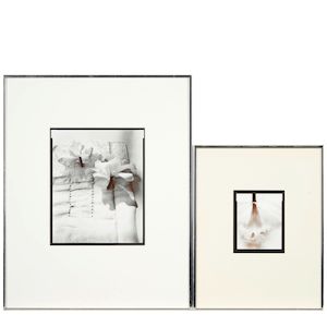 Olivia Parker (born 1941); Two Photographs including: Cut Orchid; (2)