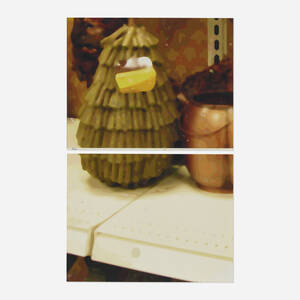 Untitled (diptych)