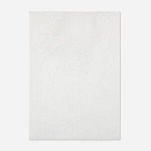 Diaphan 36, White/White