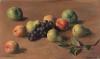 Fruit.